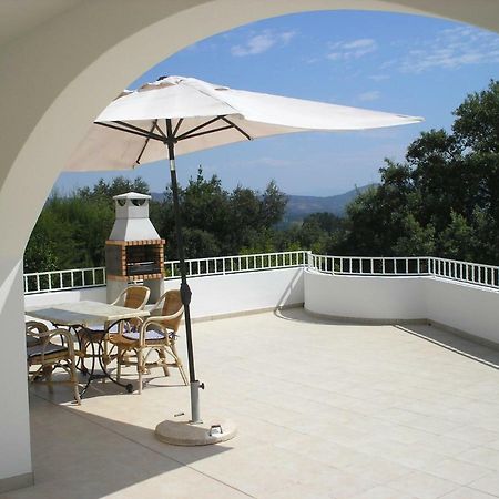 Vivenda Pirilampo Villa Vila Nova de Poiares Eksteriør billede