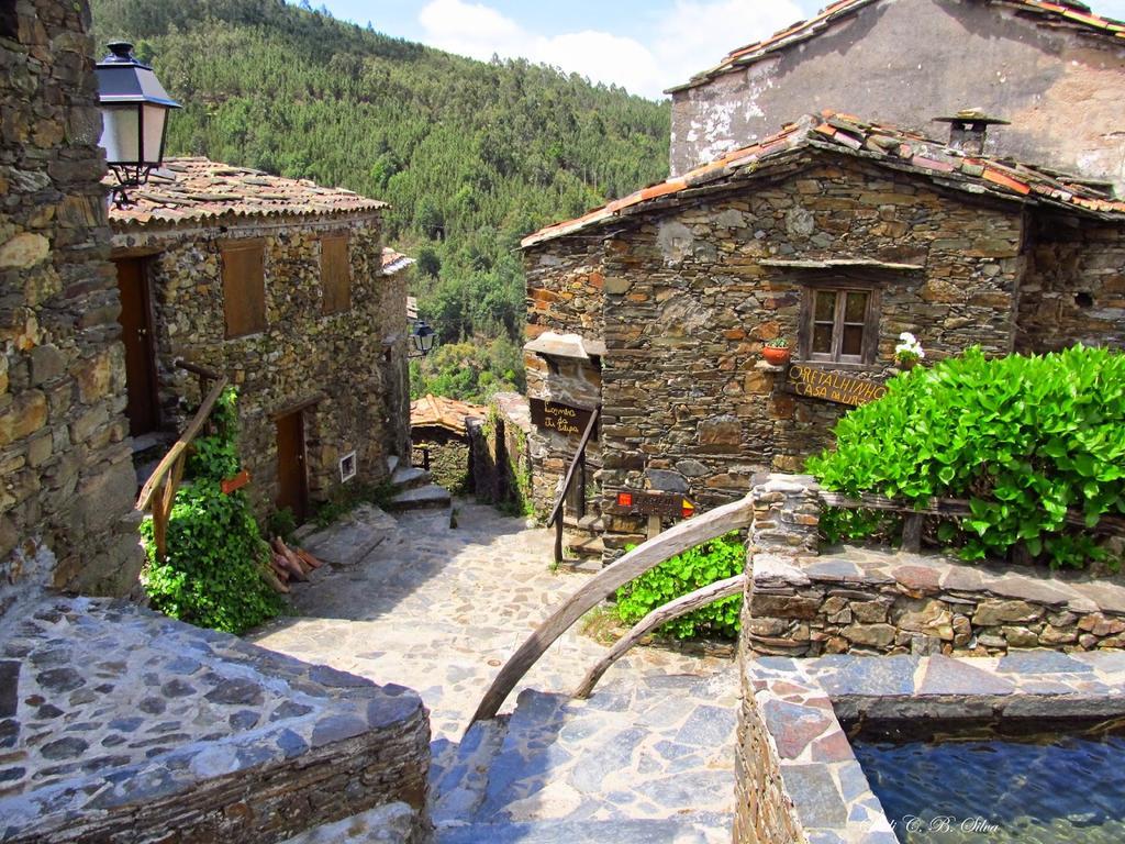 Vivenda Pirilampo Villa Vila Nova de Poiares Eksteriør billede