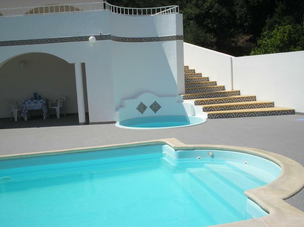 Vivenda Pirilampo Villa Vila Nova de Poiares Eksteriør billede
