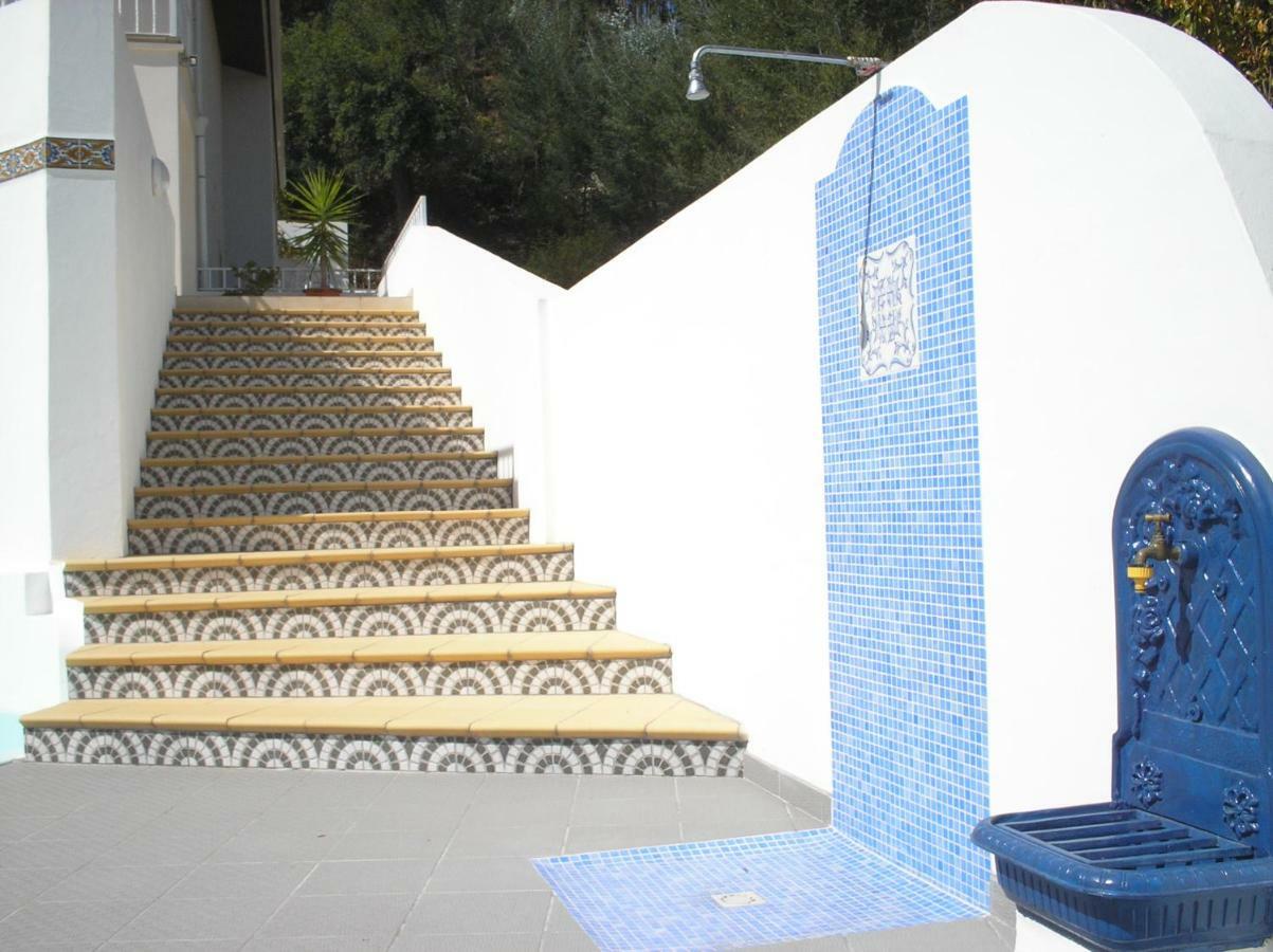 Vivenda Pirilampo Villa Vila Nova de Poiares Eksteriør billede